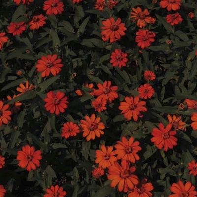 云体育官网截图